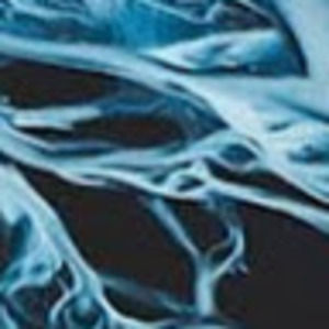 Meet your Posher, Hayden